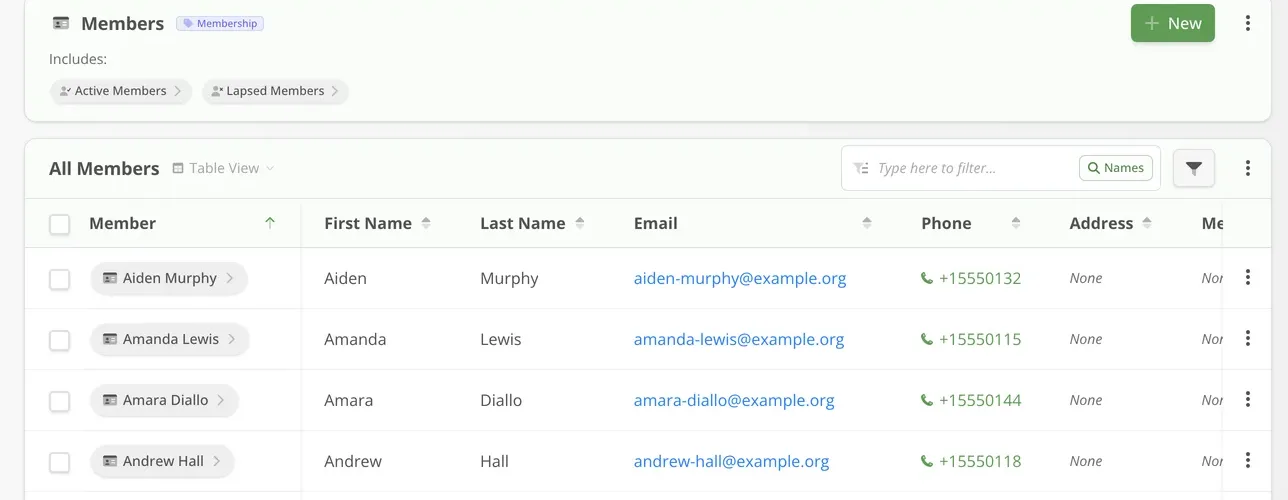 Illustrative Simply Fitness member roster, cropped demo table.